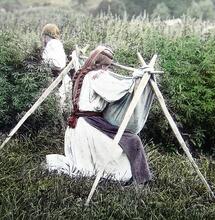 archive photo of cannabis hemp plantations in Czechoslovakia. 