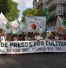 Argentina enciende el debate para legalizar el faso  