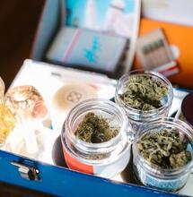 Aroma de cannabis no es por terpenos sino por flavorantes