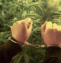 Dati Europei sulla Cannabis: Spagna la più multata