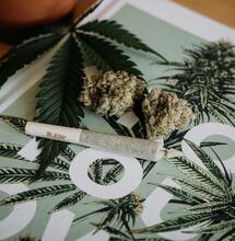 Arte y cannabis.