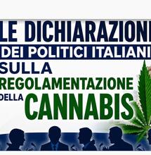 Regolamentazione cannabis: la strategia antiproibizionista per la prossima legislatura