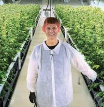 Regeerakkoord VVD, CDA, D66 en ChristenUnie - Wonderbaarlijk compromis rond cannabis