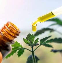 Aussies Can Now Buy Over-the-Counter CBD Oil