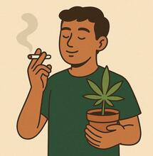 ¿Es seguro consumir marihuana cultivada en casa?