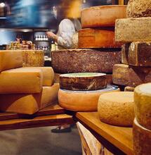 Deep Cheese - Let it be cheese!