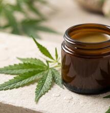 El reto de la absorción cutánea del CBD: de los bálsamos a la nanotecnología