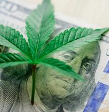 Reclasificación del cannabis de Trump no incluye bancos
