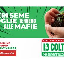"Io Coltivo": firma anche tu per legalizzare la Cannabis