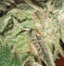 Het grote probleem was de bevoorrading