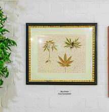 Wietimker Kevin Janssen met Cannaseum-expo in Hanf Museum