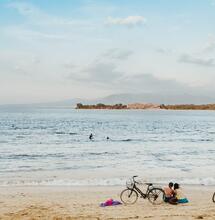 NOT JUST REALLY, REALLY, REALLY FRESH SEA AIR