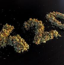 The Best Cannabis Indica Strains & Quick Tips How to Grow Them