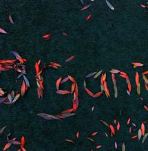 ¿Cannabis-Orgánico?