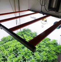 CULTIVO CON LED: LA PLANK DE BIOLED