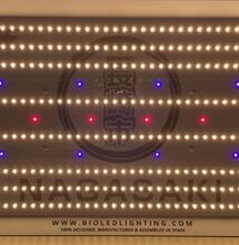 Top consejos indoor by BioLED Lighting