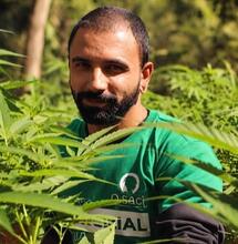 Policia paulista arrasó cultivo de cannabis medicinal comunitario
