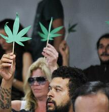 Brazilianen mogen 40 gram wiet hebben en 6 planten kweken