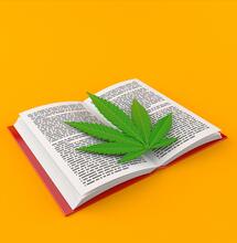 Breve storia della cannabis nella letteratura