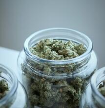 La seguridad del uso terapéutico del cannabis