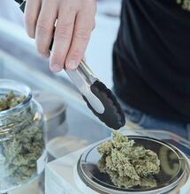 Warum steigt die Nachfrage nach medizinischem Cannabis ?