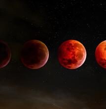 Cada fase de la luna favorece tales o cuales técnicas en el cultivo cannábico.