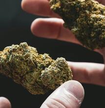 Vaporized THC/CBD Shows Significant Symptom Relief for MS Patients