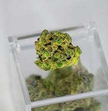 Cannabis Terpenes May Relieve Pain Without Causing a High, Study Finds