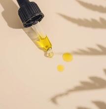 Can Cannabis Help with Alzheimer’s?