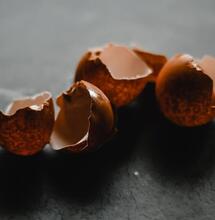 Natural Fertilizers: Eggshells for Cultivating Cannabis