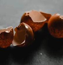 Eierschalen als natürlichen Dünger für Cannabispflanzen nutzen