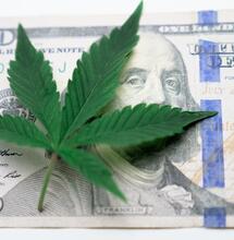 LA county seizes $1 billion of weed in record drug bust.