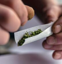 Cosa significherebbe legalizzare la Cannabis in Italia?