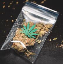 La Cannabis ha una data di scadenza?