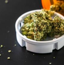 Cannabinoid Functions in Our Bodies