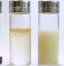 Consiguen cannabinoides solubles en agua