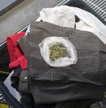 Trovato con Cannabis terapeutica rischia 14 anni