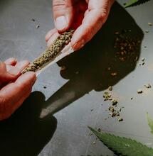 ¿La legalización del cannabis aumenta el abuso?