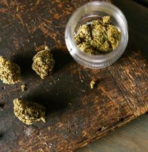 Terpenos y flavonoides: ¿quién es quién en el cannabis?