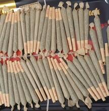 Invia erba a 200 deputati per celebrare il Cannabis day