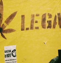 Uruguay registró récord de venta de cannabis legal