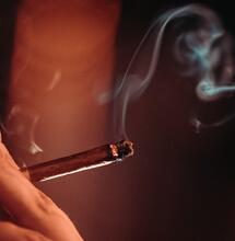 La marihuana también genera alergia. 