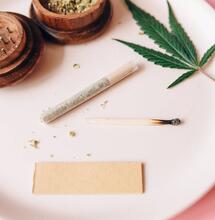 Cannabis medicinal en Argentina: Milei quiere prohibir Reprocann, provincias no.