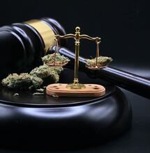 Stop alla cannabis light, nuova proposta del governo Meloni