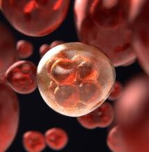 Can Cannabis Help with Cancer?