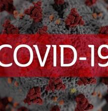 Cannabis e Covid19: la posizione di IACM (International Association on Cannabis as Medicine)