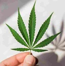 The most sought-after clones. (Part 2)