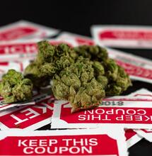 Check out the list of cannabis festivals and events for 2025, where enthusiasts can explore the latest trends, weed products, and industry innovations. 