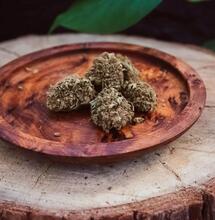 German Patient Wins Legal Battle to Have Medical Cannabis Costs Covered by Insurance