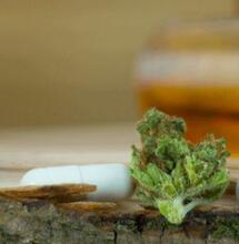 Cannabis y Salud: el informe de la Academia de las Ciencias de EE.UU